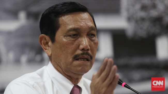 Luhut Minta Masyarakat Sabar Tunggu Harga Tiket Pesawat Turun