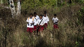 Kadisdik di Papua soal Internet Gratis: Cuma untuk Jakarta