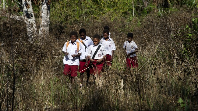Kepala Dinas Pendidikan dan Kebudayaan Kabupaten Yalimo, Nahor Nekwek berharap ada program khusus bagi daerah yang tak punya layanan internet.