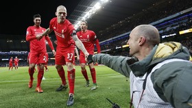 Martin Skrtel Sudah Siap Bergabung dengan Fenerbahce