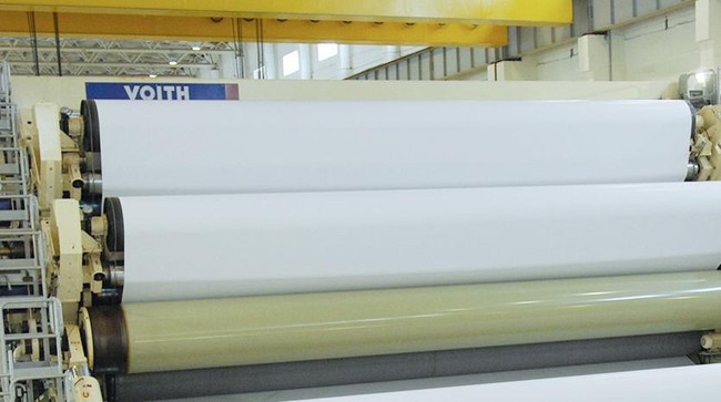 Pabrik senilai Rp 35 triliun ini ditargetkan mampu memproduksi 2 juta ton pulp dan 500 ribu ton tisu dengan menyerap 3.500 pekerja mulai April 2016.