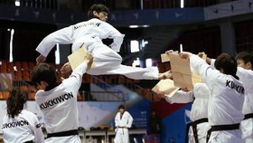 Klub Taekwondo asal Yogyakarta Kuasai Kukkiwon Cup I