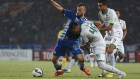 Persib Kembali Kalah dan Mandul, Djanur Tetap Puas