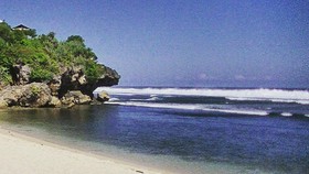 Jelang Libur Lebaran Gunung Kidul Antisipasi Invasi Ubur-ubur