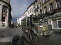 Warga Belgia Lawan Ancaman Teror dengan Foto Kucing