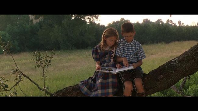 Winston Groom, penulis buku yang menjadi inspirasi untuk film peraih enam piala Oscar, Forrest Gump, meninggal dunia di usia 77 tahun.