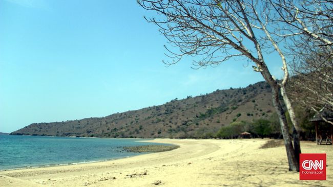 Presiden Joko Widodo akan meminta promosi untuk berkunjung ke pulau Komodo digencarkan setelah satu terminal bandara baru resmi dibuka.