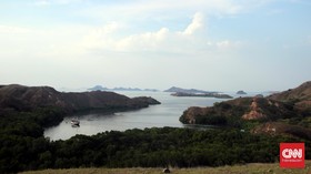 Harga Tiket dan Cara ke Pulau Rinca, Alternatif Wisata Pulau Komodo
