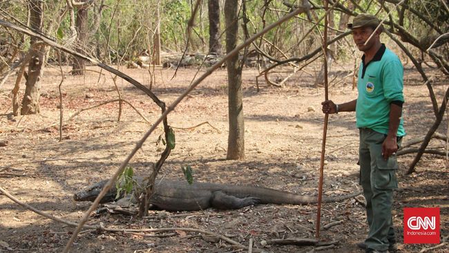 Ada penduduk yang, umumnya berprofesi sebagai nelayan, tinggal di kampung bernama Kampung Komodo.