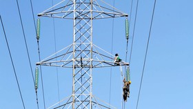PLN Dapat Pinjaman dari ADB US$600 Juta