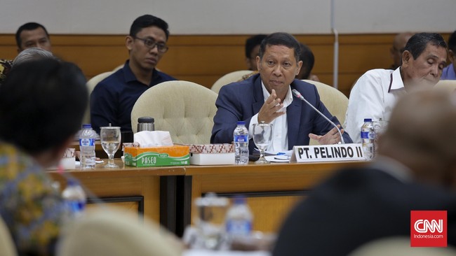 RJ Lino mengajukan permintaan ke PN Jaksel untuk membuat penetapan agar KPK menghentikan penyidikan kasus pengadaan QCC hingga praperadilan selesai.