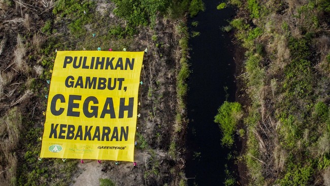 Menteri Lingkungan Hidup dan Kehutanan Siti Nurbaya mengatakan Perpres yang memayungi badan itu adalah Perpres Nomor 1 Tahun 2016. 