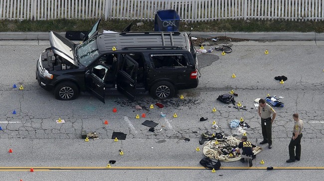 Isu pembatasan pembelian senjata api kembali merebak setelah kasus penembakan massal di San Bernardino yang menewaskan 14 orang.