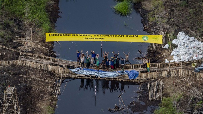 Era Presiden Jokowi disebut melanjutkan kegagalan pemerintah sebelumnya dalam pengelolaan hutan dan lahan. Kebakaran hutan bahkan menyebar hingga 18 provinsi.