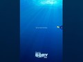 Perjalanan 13 Tahun Ciptakan Rumah untuk Dory