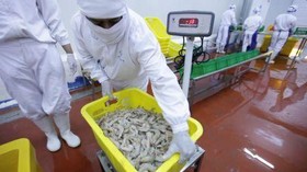 Ekspansi ke Pengolahan Ikan, Pelindo III Siapkan Rp 1 Triliun