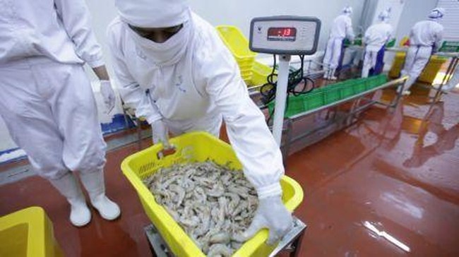 KKP melaporkan di awal kasus paparan Cesium, harga udang di level petambak sempat terguncang hebat karena AS merupakan pasar ekspor utama udang RI.