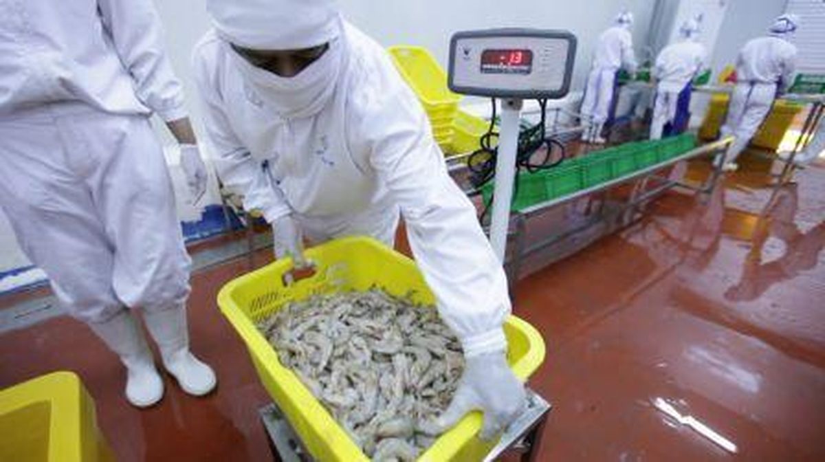 Sempat Anjlok Imbas Kasus Radioaktif, Harga Udang RI Mulai Pulih