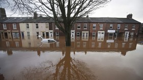 Jebolan Akademi Newcastle Lolos dari Banjir Lewat Jendela