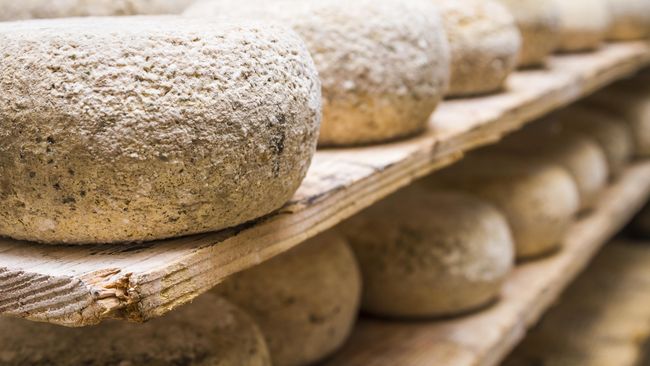 Casu marzu adalah jenis keju yang bukan hanya aneh cara pembuatannya tapi juga menjijikkan untuk dimakan. Uniknya keju ini masih dicari di sejumlah negara.