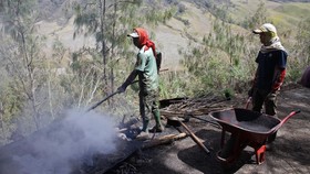 KLHK Buka Suara Soal Proyek Wisata TN Bromo Semeru Tengger