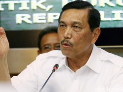 Luhut Sebut 30 Investor Rebutan Garap Proyek Ibu Kota Baru