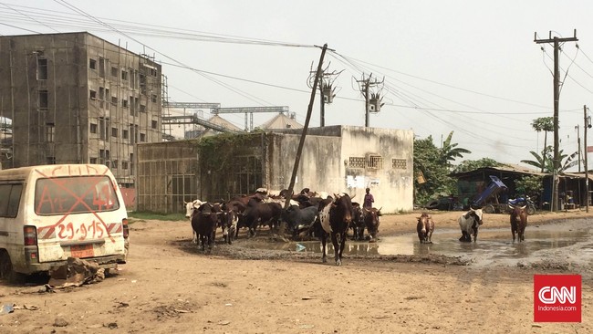 Sebuah bangunan rubuh di Douala, Kamerun, pada Minggu (23/7), yang menyebabkan 16 orang tewas.