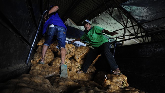 Sebelumnya, Serikat Petani Indonesia melakukan unjuk rasa di kantor Kementerian Perdagangan, petani asal Dieng mengaku rugi sebesar Rp24 juta per hektare.
