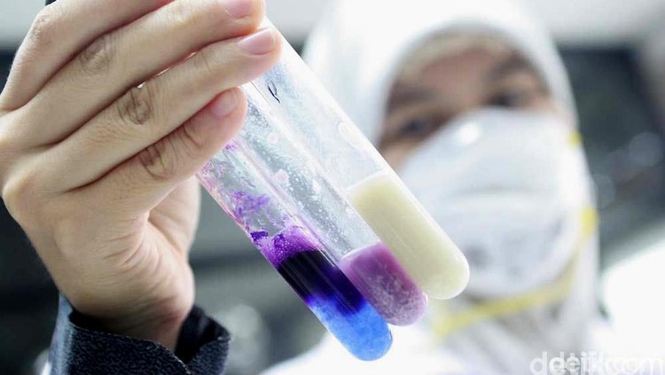 Tes Kandungan Formalin Tes kimia kandungan formalin di makanan. dikhy sasra/ilustrasi/detikfoto