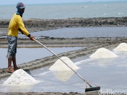 KKP Bidik 1000 Ha Lahan di NTT Jadi Sentra Garam Industri