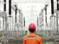 PLN Setor Rp 65 T ke Negara Buah Transformasi Sejak 2020