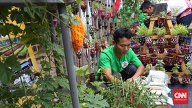 Ketika Narapidana Jualan Sayur