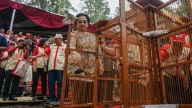 Megawati Akan Resmikan Kebun Raya Mangrove Pertama RI Hari ini