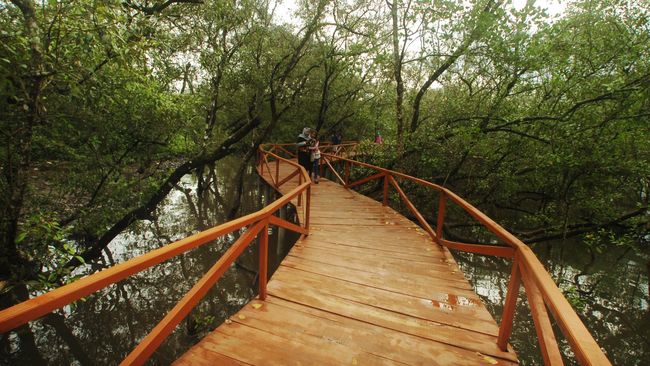 Menteri Pariwisata Arief Yahya menyebut dalam bidang Sustainable Tourism Development, Indonesia peringkat kedua setelah China.