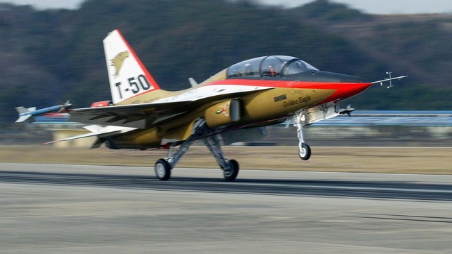 Pesawat supersonik T-50 Golden Eagle milik TNI Angkatan Udara jatuh di sekitar landasan militer belakang Bandara Adisucipto, Yogyakarta. Dua pilotnya meninggal.