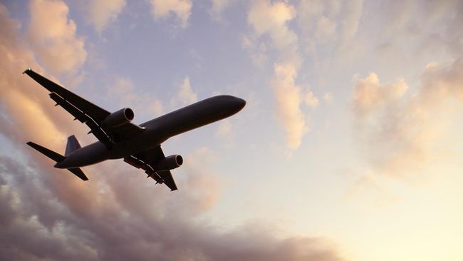 Kejatuhan Kotoran dari Langit, Wanita India Nyaris Tewas Kejatuhan durian runtuh adalah sebuah ungkapan untuk mengungkapkan keberuntungan. Tapi bagaimana kalau ternyata kejatuhan kotoran dari langit? Pasti menjijikan.
