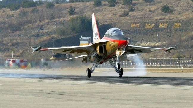 Pesawat TNI AU berjenis Golden Eagle (T-50) yang jatuh di kawasan bandara Adisucipto diterbangkan oleh dua orang perwira.