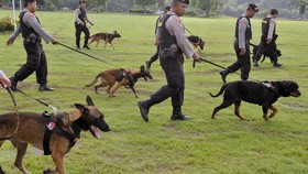 Pengadaan Anjing Pelacak BNN Terhambat Penghematan Anggaran