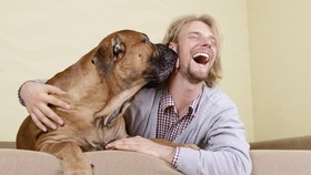 Dekapan Bisa Berbahaya Bagi Si Doggie