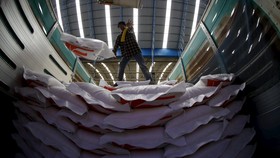 Indonesia Ekspor 40 Ton Beras Organik ke Belgia