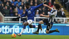 Cleverley Bawa Everton Menang di Menit Akhir atas Newcastle