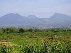 Pesona Gunung Wilis, Destinasi Alam Tersembunyi di Jawa Timur