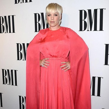 Pink Bantah Kibarkan Bendera Israel Saat Konser