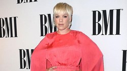 Pink Bantah Kibarkan Bendera Israel Saat Konser