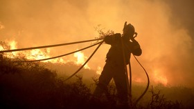 WALHI: Jika Pemerintah Tak Serius Hutan Terbakar Lagi