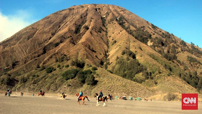 Desa Ngadisari dan desa Wonokitri akan segera memiliki taman edelweis, yang bisa digunakan untuk aktivitas swafoto bagi para wisatawan.