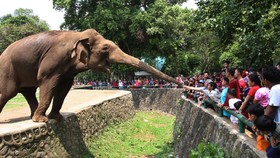 Akhir Pekan, Yuk Liburan sambil Belajar