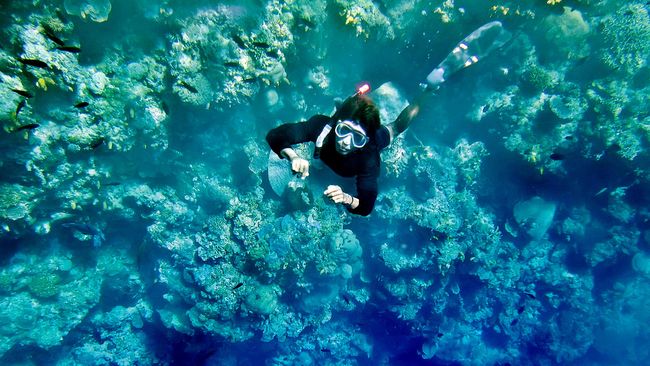 Festival Pesona Bunaken jadi Ujung Tombak Pariwisata Sulut