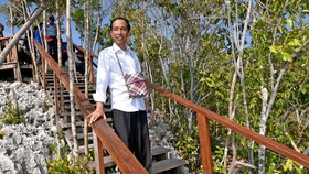 Jokowi Batal Kunjungi Merauke Awal April