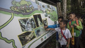 Belajar Jadi Turis Peduli Alam di Bodogol